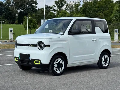 2025 Geely Galaxy Panda mini 210km Vitality Bear, фото 1, лот 10383319
