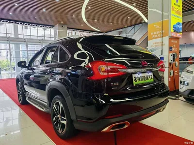 2015 BYD Tang New Energy 2.0T 4WD Flagship, фото 4, лот 10274383