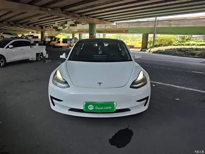 2019 Tesla Model 3 (Import) Standard Range RWD Upgraded Edition, фото 3, лот 10375806