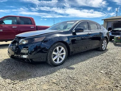 2010 ACURA TL, фото 1, лот 10670372