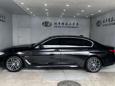 2022 BMW 5 Series New Energy Model Second Facelift 535Le M Sport Package, фото 4, лот 10474182