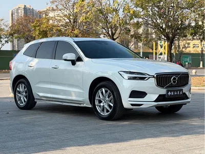2019 Volvo XC60 T5 4WD Intelligent Ease China VI, фото 3, лот 10353860
