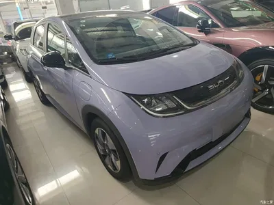 2024 BYD Dolphin Glory Edition 420km Fashion Edition, фото 4, лот 10259395