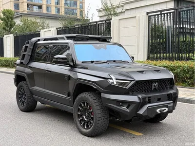 2024 Mengshi 917 Extended Range Highland Lion Edition, фото 3, лот 11642498