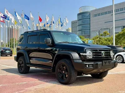 2021 Tank 300 Off-road Version 2.0T Conqueror, фото 3, лот 11132934