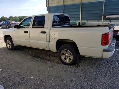 2008 DODGE DAKOTA QUAD SLT, фото 2, лот 10799781