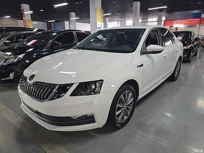 2019 Škoda Octavia TSI230 DSG Zhixing Comfort Edition China VI, фото 2, лот 10348179