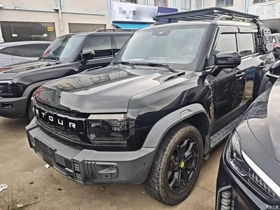 2023 Jetour Traveler 2.0T 4WD Cross PRO+, фото 2, лот 10389529