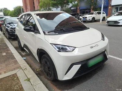 2023 BYD Seagull Vitality Edition, фото 4, лот 10262867