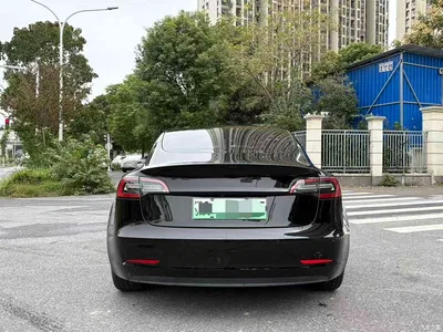 2021 Tesla Model 3 Facelift Standard Range RWD Upgrade 3D1, фото 4, лот 11579741