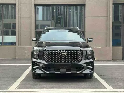2025 GAC Trumpchi Trumpchi GS8 Pilot Series 2.0TGDI 2WD Luxury Edition 5-seater, фото 2, лот 10828089