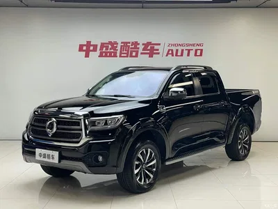 2023 Great Wall Pao 2.0T Passenger Automatic Gasoline 4WD Sport GW4C20B, фото 2, лот 11225798