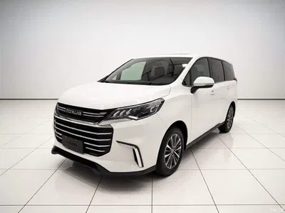 2020 SAIC Maxus Maxus G50 1.5T Auto Elite, фото 1, лот 11159222