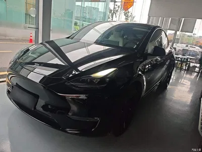 2021 Tesla Model Y Model Long Range AWD, фото 1, лот 10671215