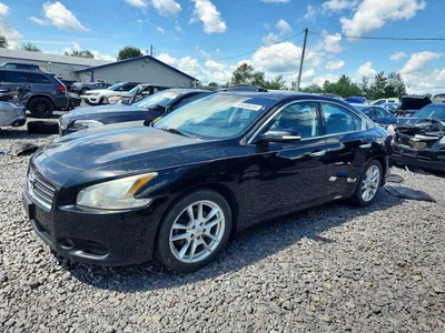 2011 NISSAN MAXIMA 3.5 S, фото 1, лот 10656102