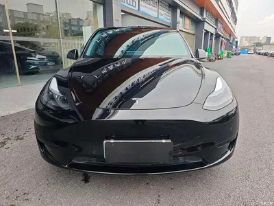 2022 Tesla Model Y Facelift Rear-Wheel Drive Version, фото 1, лот 11098204