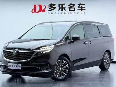 2020 Buick GL8 Model ES Landglory 653T Luxury, фото 1, лот 10256139