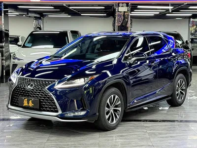 2020 Lexus RX 300 2WD Elite Edition China VI, фото 1, лот 10312094