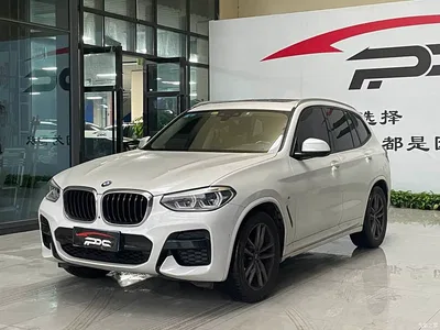2019 BMW X3 xDrive28i M Sport Package, фото 1, лот 11409242