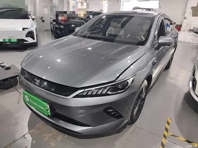 2025 BYD Qin PLUS EV Smart Drive Edition 420KM Leading Type, фото 2, лот 10615393