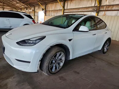2020 TESLA MODEL Y, фото 1, лот 11576906