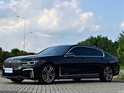 2019 BMW 7 Series Facelift 730Li M Sport Package, фото 1, лот 10422130