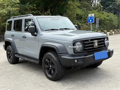 2021 Tank 300 Off-road Version 2.0T Conqueror, фото 3, лот 10344477
