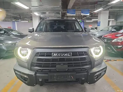 2022 Haval Big Dog Model 2.0T DCT AWD Howling Celestial Dog Hunting Edition, фото 3, лот 10361465