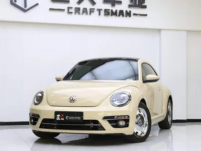 2019 Volkswagen Beetle 180TSI Collector's Edition, фото 2, лот 10473827