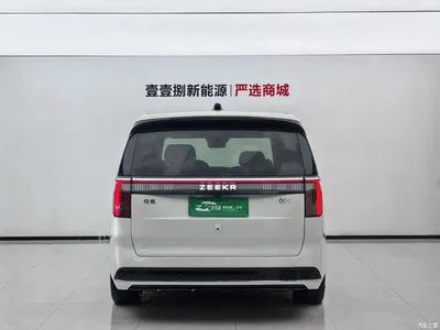 2022 ZEEKR 009 ME Edition, фото 3, лот 10291447