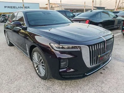 2020 Hongqi H9 2.0T Smart Connection Qi Chang Edition, фото 3, лот 11585051