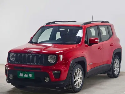 2019 Jeep Renegade 220T Automatic Premium, фото 1, лот 10359983