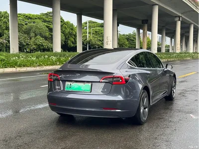 2020 Tesla Model 3 Standard Range Rear-Wheel Drive Upgrade, фото 3, лот 10354391