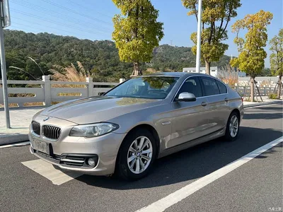 2014 BMW 5 Series (Import) 520i Classic, фото 1, лот 10474270