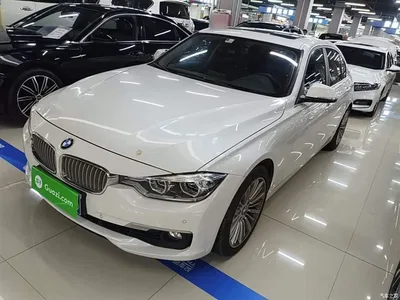 2018 BMW 3 Series 320Li Fashion Style, фото 2, лот 10575933
