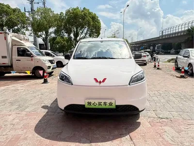 2024 Wuling Motors Wuling Hongguang New Energy Pure Electric 300KM Standard, фото 2, лот 11167529