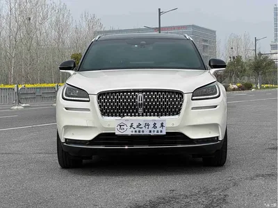 2021 Lincoln Adventurer 2.0T 2WD Elegance Edition, фото 2, лот 10357641
