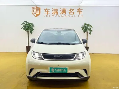 2024 BYD Dolphin Glory Edition 420km Fashion Edition, фото 2, лот 10255266