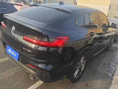 2020 BMW X4 xDrive25i M Off-road Package, фото 3, лот 10338332