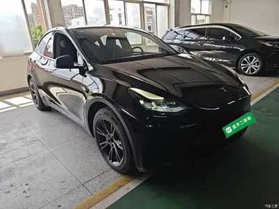 2024 Tesla Model Y Rear-Wheel Drive Version, фото 4, лот 10455348