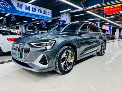 2021 Audi e-tron 50 quattro Exclusive Selection, фото 1, лот 10611538