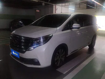 2018 GAC Trumpchi Trumpchi M8 320T Flagship Edition, фото 1, лот 10416872