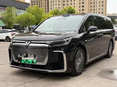 2025 Voyah Auto Voyah Dreamer Model PHEV 4WD Premium QianKun Edition, фото 1, лот 10358079