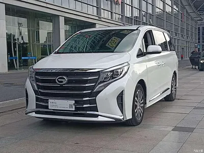 2021 GAC Trumpchi Trumpchi M8 Leading Show Series 390T Prestige Edition, фото 1, лот 10416916