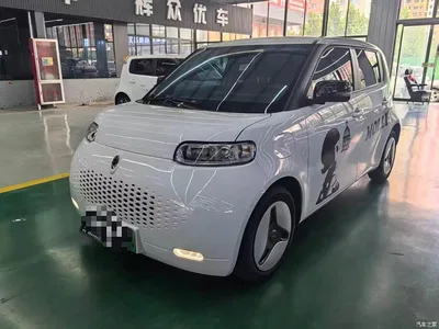 2020 Ora White Cat 401km Long Range Model, фото 1, лот 10330407
