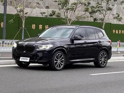 2022 BMW X3 xDrive30i Leading M Night Package, фото 1, лот 11140671