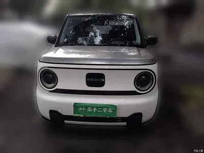 2023 Geely Galaxy Panda Mini 200km Endurance Bear, фото 3, лот 10774640