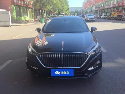 2022 Hongqi H5 Classic Facelift 1.5T DCT Flag Rhythm Edition, фото 2, лот 10398409
