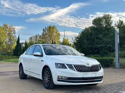 2019 Škoda Octavia 1.5L Automatic Luxury Edition, фото 3, лот 10399801