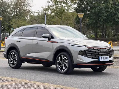 2023 Haval Shenshou 1.5T Smart Enjoy Edition, фото 3, лот 10296532